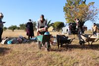Loading a wheelbarrow at an E1 F1 food distribution at Bodibe