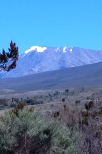 Uhuru  Peak As Seen From  Horombo  Hut