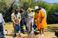 Mandela Day Team In Bedfordview Planting Trees With Gauteng Provincial Government Towards Their 1 Million Trees Pledge